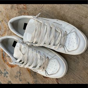 stardan golden gooses